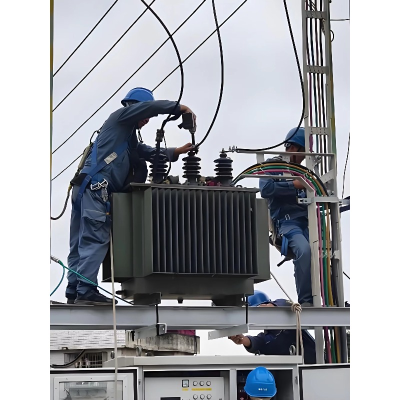 Euro Grid Liquid Immersed Tran - Heavy Equipment Supplier review and price