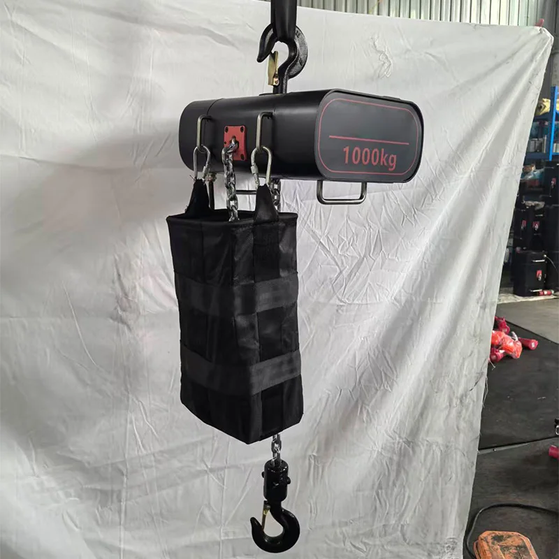 Stage-Grade Electric Chain Hoi - Electric Chain Hoist review and price