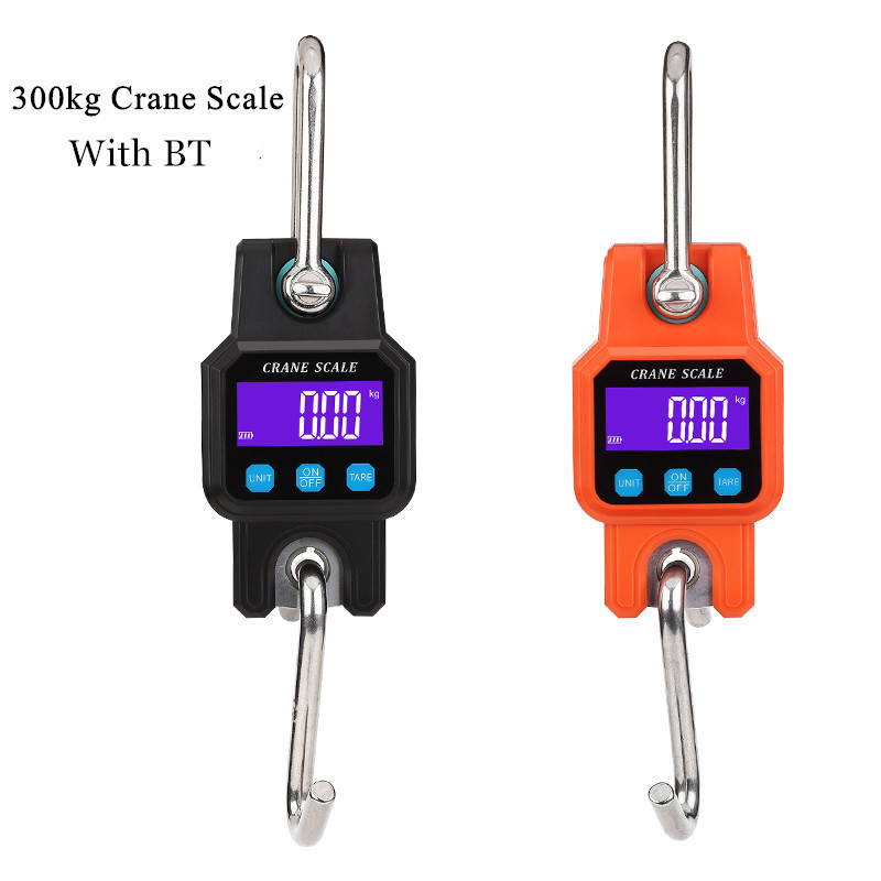 300kg/50g Bluetooth Crane Scal - Heavy Equipment Battery review and price
